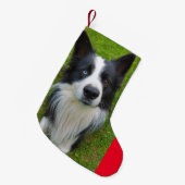 Border Collie Kleiner Weihnachtsstrumpf (Vorderansicht (hängend))