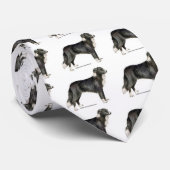 Border Collie Krawatte (Gerollt)