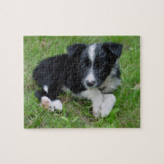 Border-Collie-kundengerechtes Puzzlespiel! Puzzle