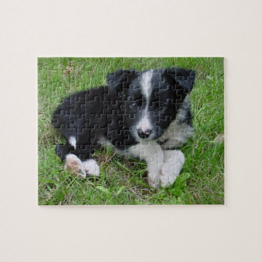 Border-Collie-kundengerechtes Puzzlespiel! Puzzle (Horizontal)