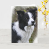Border-Collie-Kunst-Geschenke Karte (Gelbe Blume)