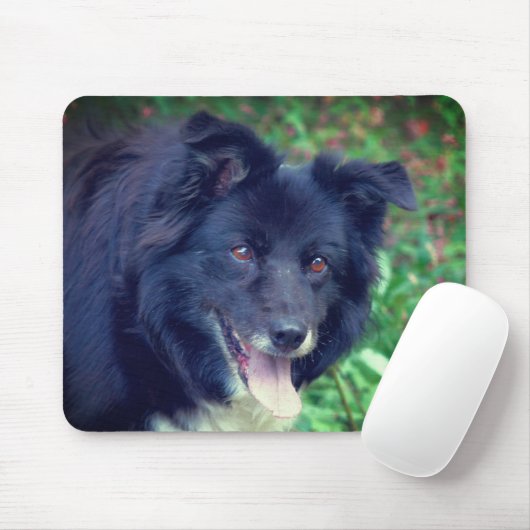 Border Collie Lächeln Mousepad (Mit Mouse)