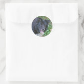 Border Collie lächelnd Niedlicher Hundsticker Runder Aufkleber (Tasche)