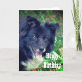 Border Collie Lächelnde Niedliche Geburtstag Card Karte (Vorderseite)