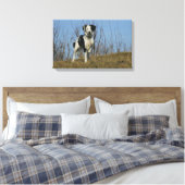 Border Collie Leg angehoben Leinwanddruck (Insitu (Schlafzimmer))