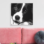 Border Collie Leinwanddruck (Insitu (Wohnzimmer))