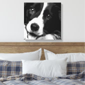 Border Collie Leinwanddruck (Insitu (Schlafzimmer))