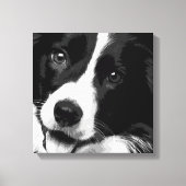 Border Collie Leinwanddruck (Vorderseite)