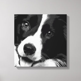 Border Collie Leinwanddruck