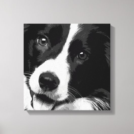 Border Collie Leinwanddruck (Vorderseite)