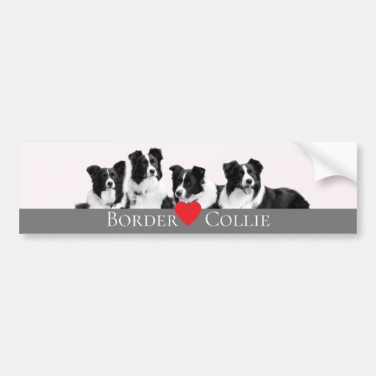 Border Collie Liebe Autoaufkleber (Vorne)