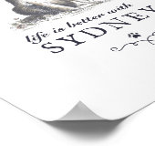 Border Collie Life ist besser mit einem benutzerde Poster (Ecke)