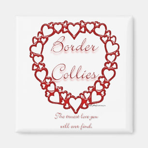 Border Collie Love Magnet