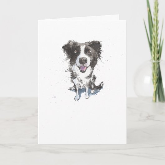 Border Collie, lustige Hunde-Illustration Geburtst Karte (Vorderseite)