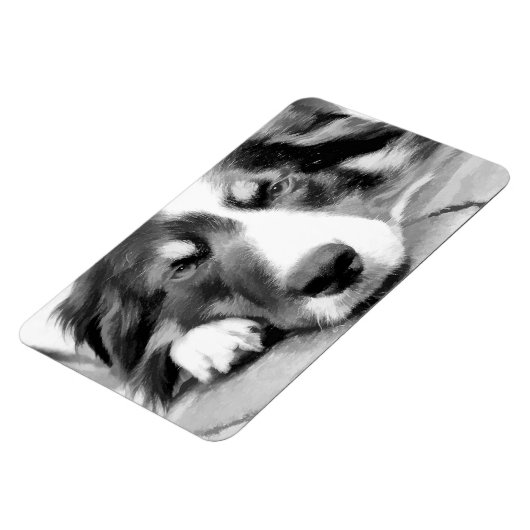 BORDER COLLIE MAGNET (Linke Seite)