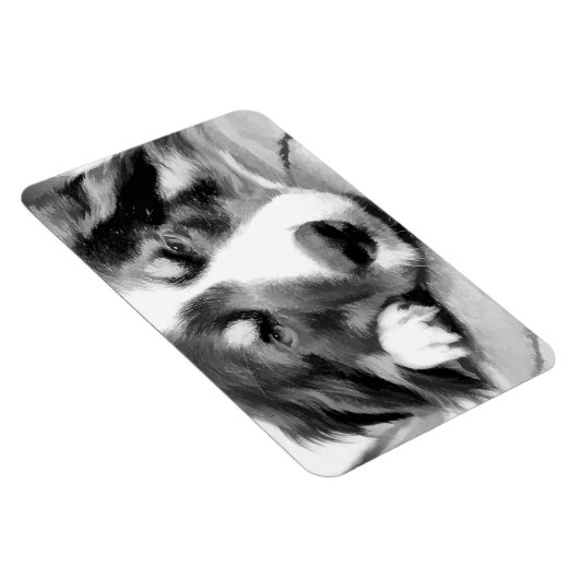BORDER COLLIE MAGNET (Rechte Seite)