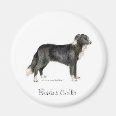 Border Collie Magnet (Vorne)