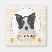 Border Collie Magnet (Vorne)