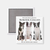 Border Collie Magnet (Vorderseite/Rückseite)