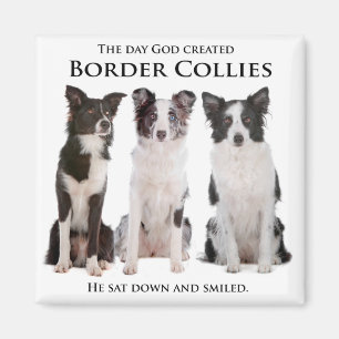 Border Collie Magnet