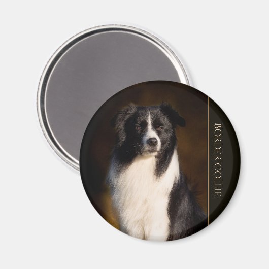 Border Collie Magnet (Vorderseite/Rückseite)