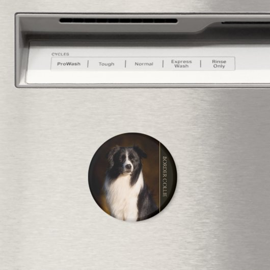 Border Collie Magnet (In Situ (Geschirrspüler))