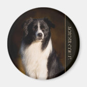 Border Collie Magnet (Vorne)
