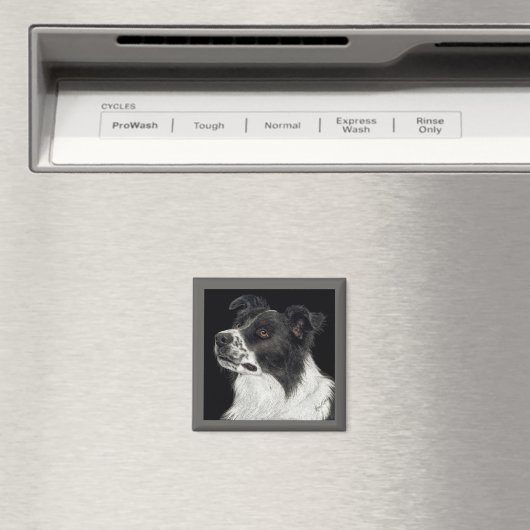 Border Collie Magnet - "Ben" (In Situ (Geschirrspüler))