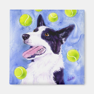 Border-Collie-Magnet - "das Gold der Elsters " Magnet