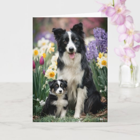 Border Collie Mama Muttertag Liebe Karte (Orchidee)