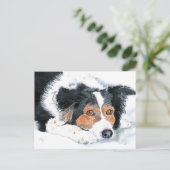 Border Collie Mattie Post Cards Postkarte (Stehend Vorderseite)