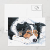 Border Collie Mattie Post Cards Postkarte (Vorne/Hinten)