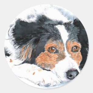 Border Collie Mattie Stickers