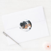 Border Collie Mattie Stickers (Umschlag)