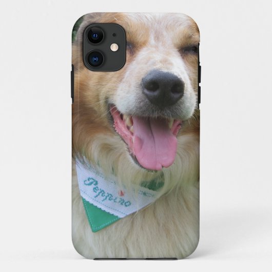 Border Collie-Mischling Case-Mate iPhone Hülle (Rückseite)