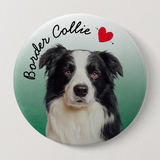 Border Collie mit grünem Verlauf Button (Vorderseite)