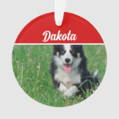 Border Collie mit Name und Foto Weihnachten Ornament (Vorderseite)