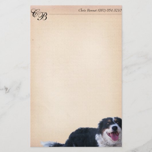 Border Collie Mix Briefpapier (Vorderseite)