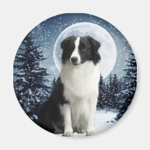 Border Collie & Moon Magnet