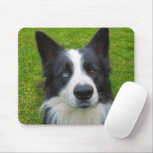 Border Collie Mousepad (Mit Mouse)