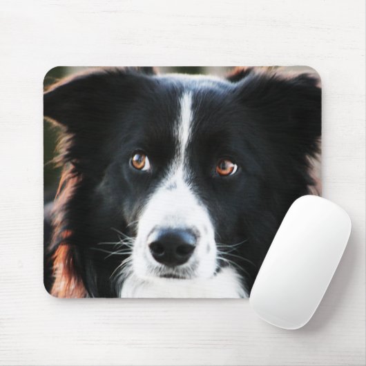 Border-Collie Mousepad (Mit Mouse)