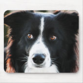 Border-Collie Mousepad (Vorne)