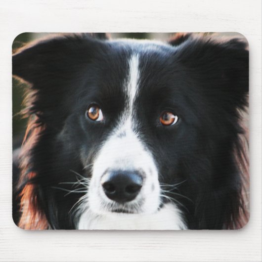 Border-Collie Mousepad (Vorne)