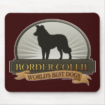 Border-Collie