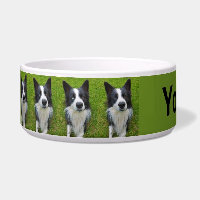 Border Collie Napf (Links)
