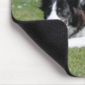 Border-Collie-Niederlegung Mousepad (Ecke)