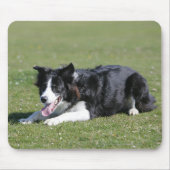 Border-Collie-Niederlegung Mousepad (Vorne)