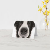 Border-Collie Notecard Karte (Gelbe Blume)