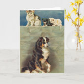 Border Collie Notecard Karte (Gelbe Blume)