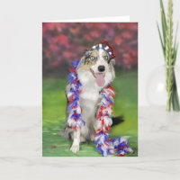 Border-Collie Notecard~Memorial Tag